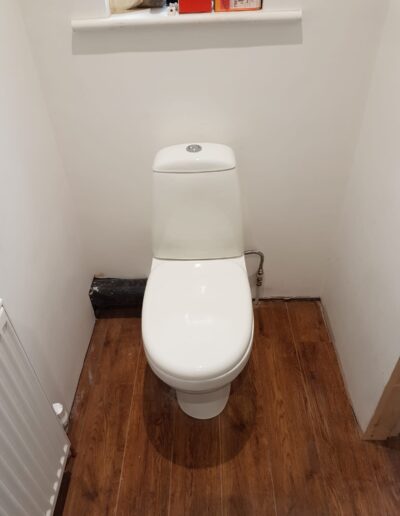 New Bathroom Toilet and Wood Floor